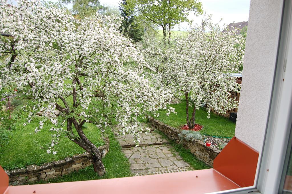 Penzion Belvia Nová Lesná 外观 照片